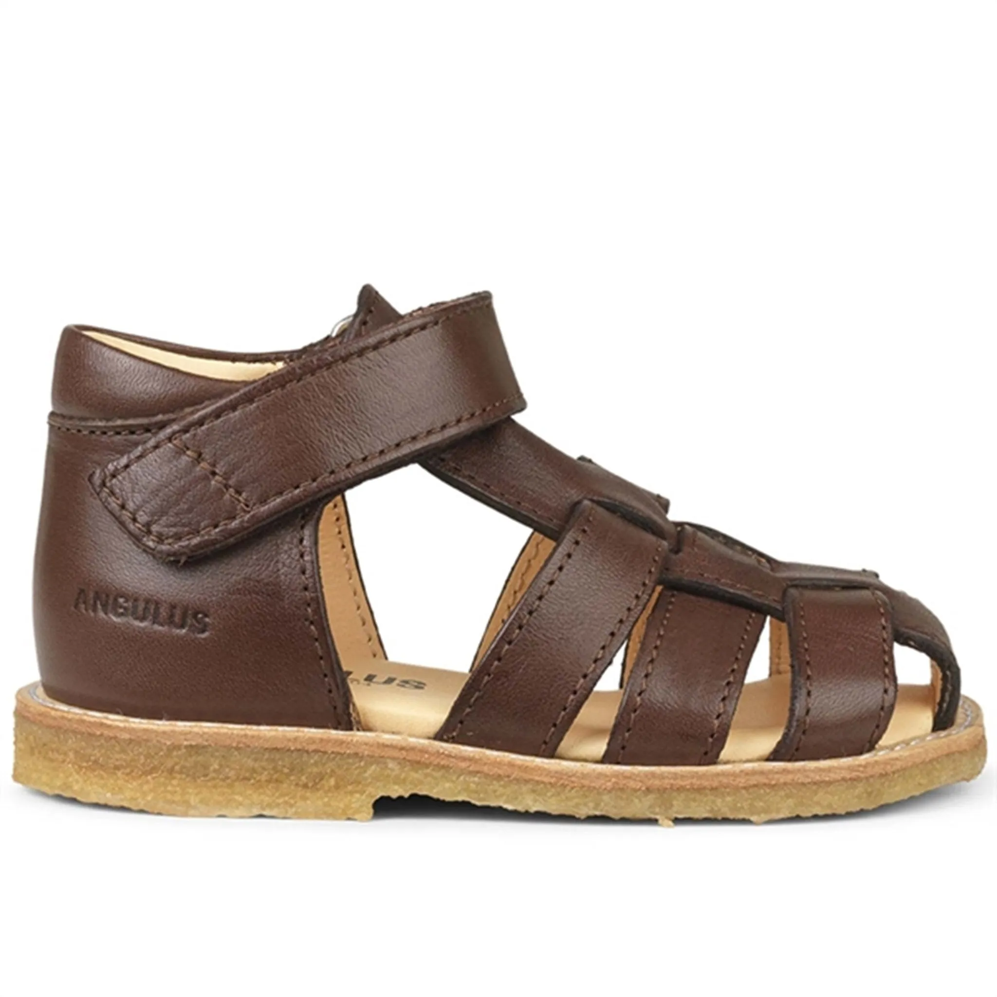 Angulus Begyndersandal m. Velcro Mørkebrun 5019-201-1547