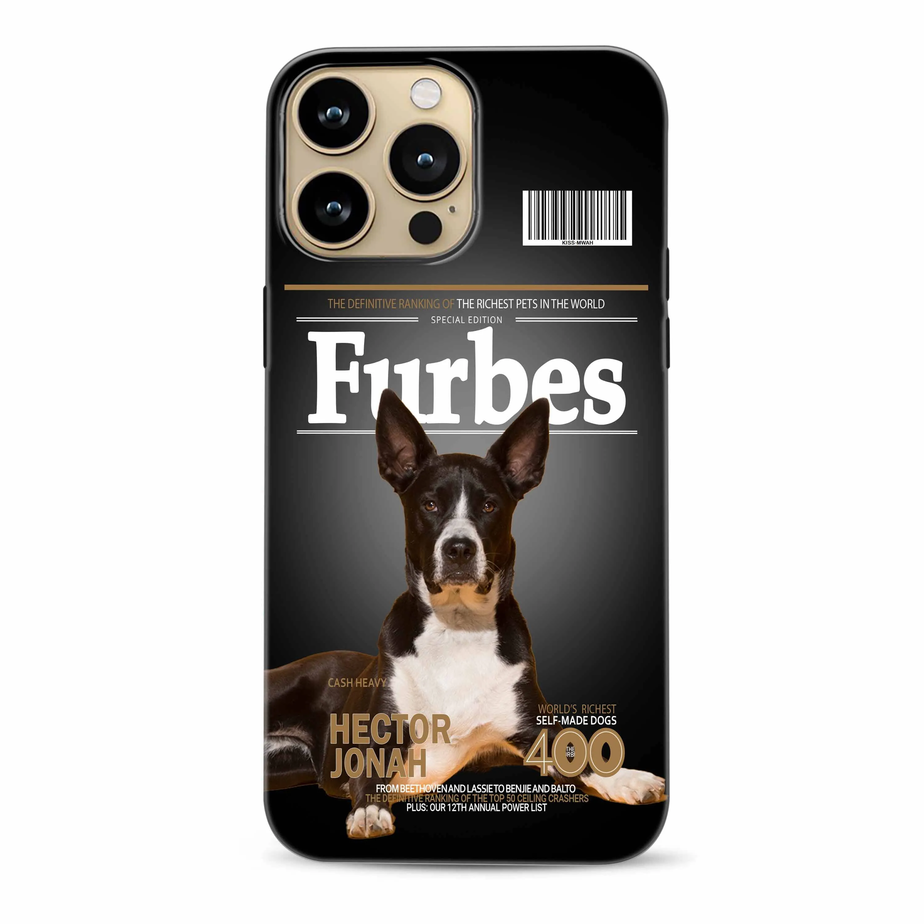 Furbes magazine