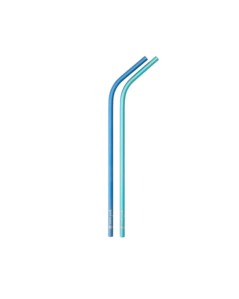 Titanium Straw 2-Piece Set in Blue & Green