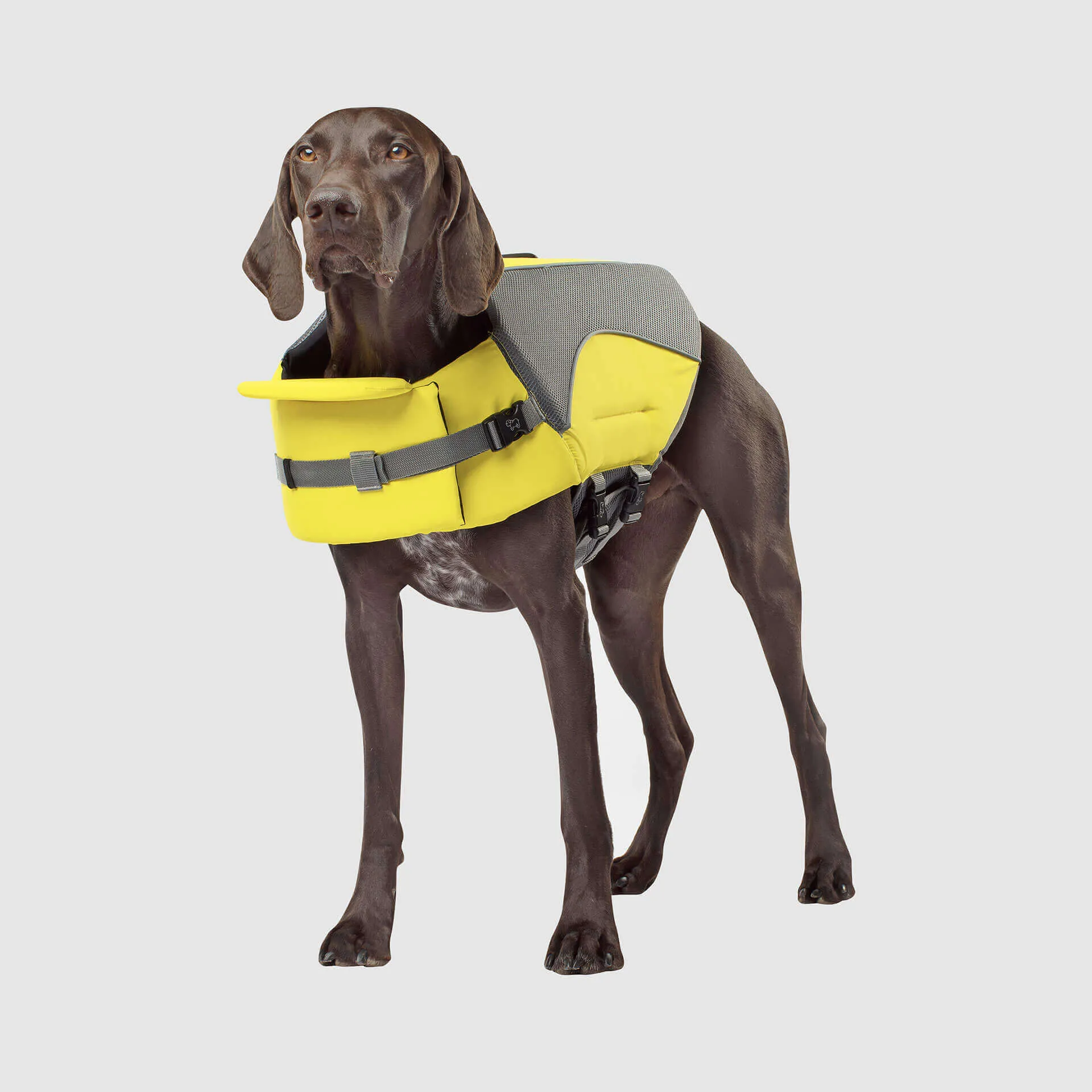 Wave Rider Life Jacket