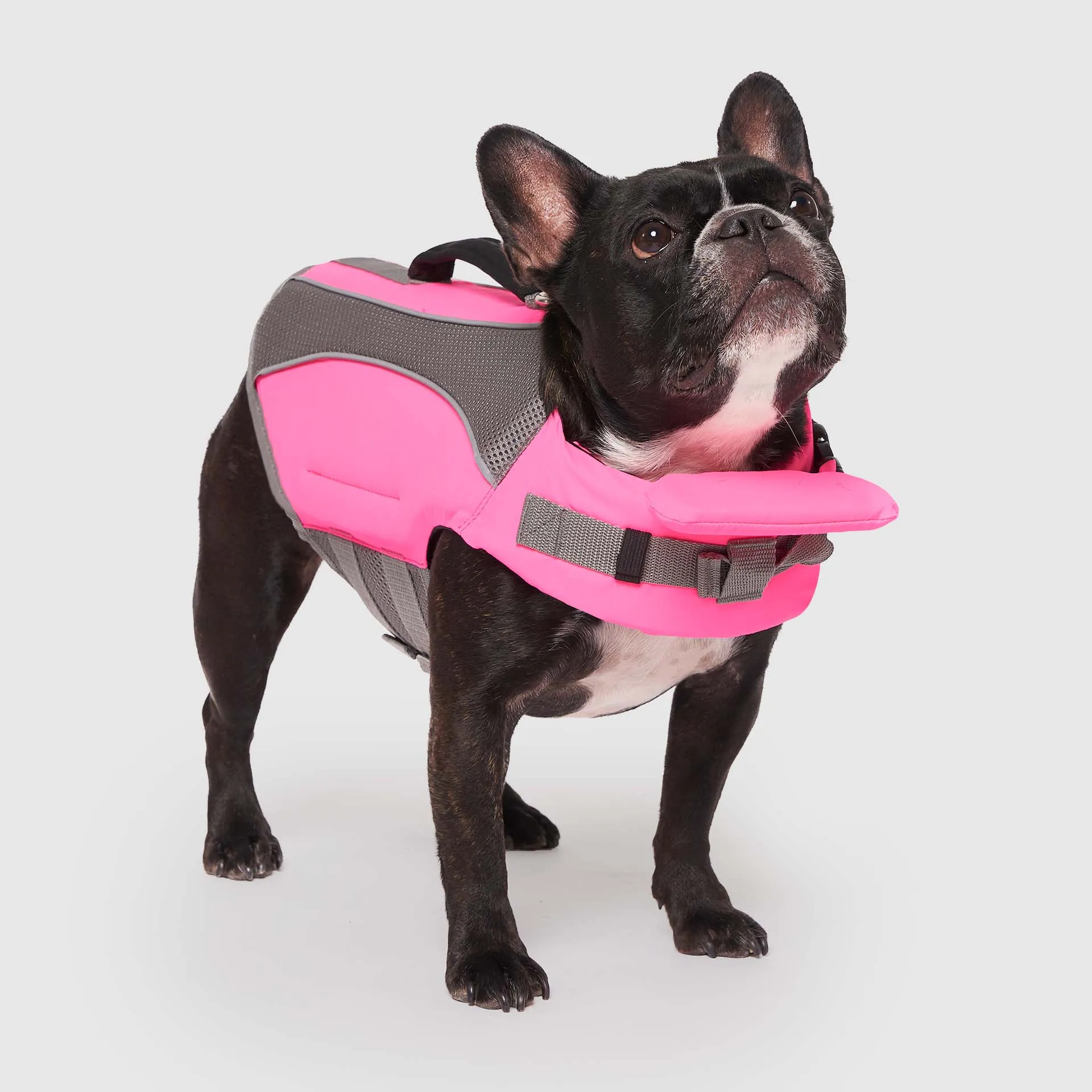 Wave Rider Life Jacket