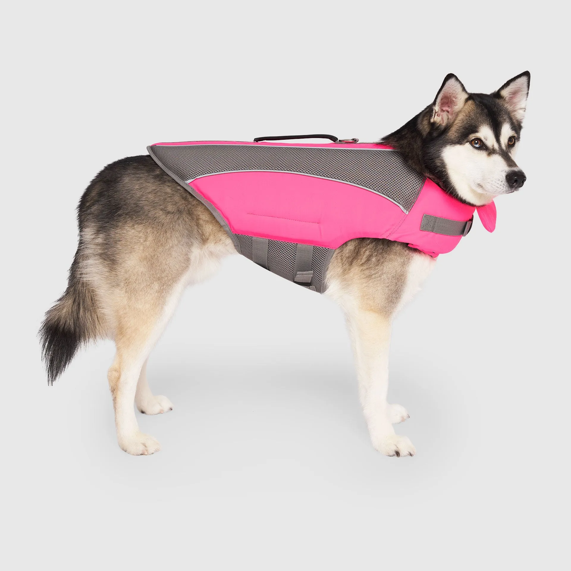 Wave Rider Life Jacket