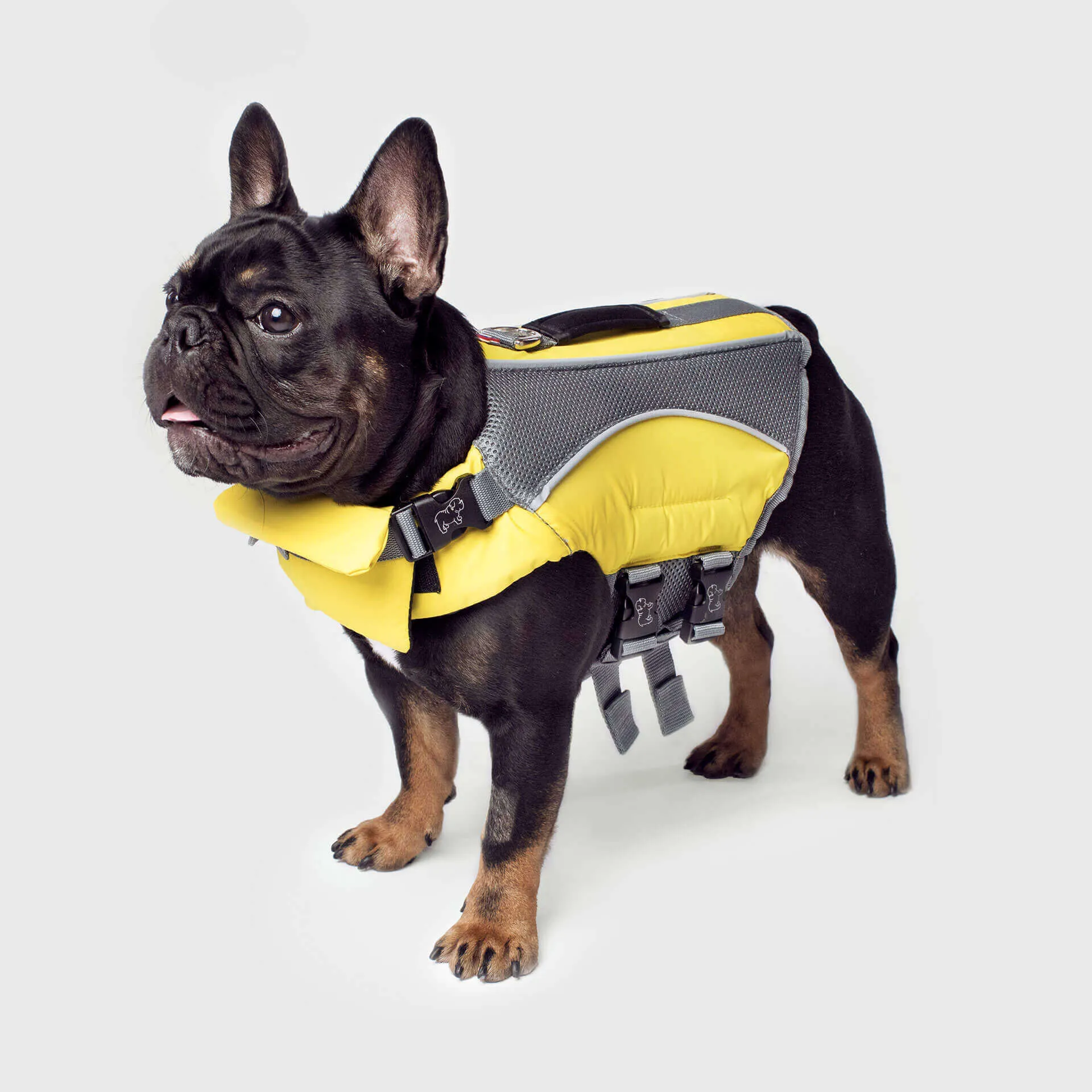 Wave Rider Life Jacket