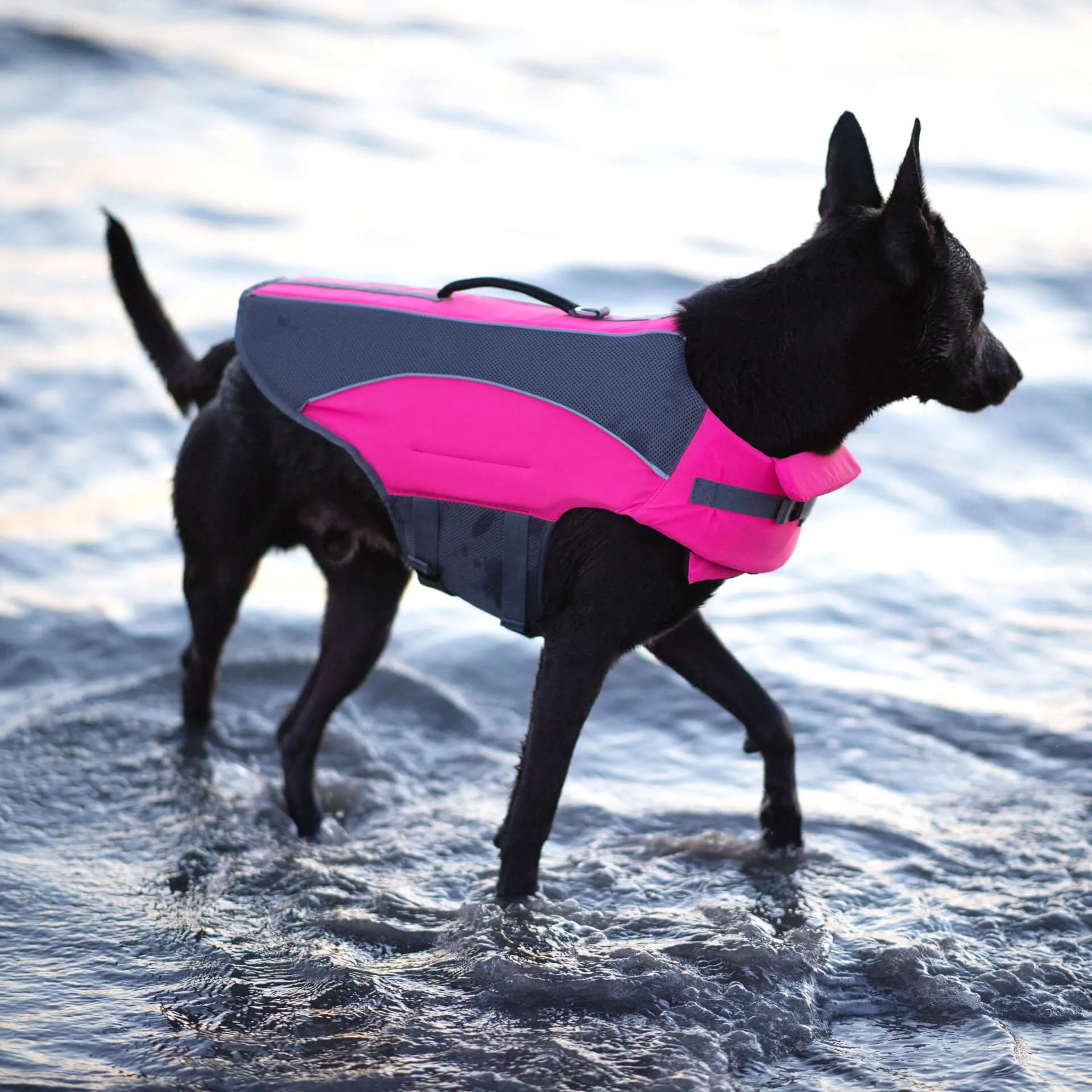 Wave Rider Life Jacket